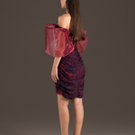 Bow Lace Cutout Mini Dress - Rouge Romance