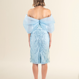 Serenity Blue Bow-Embellished Lace Dress