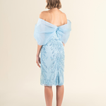 Serenity Blue Bow-Embellished Lace Dress