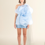 Sky Blue Petal Appliqué Mini Dress