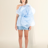 Sky Blue Petal Appliqué Mini Dress