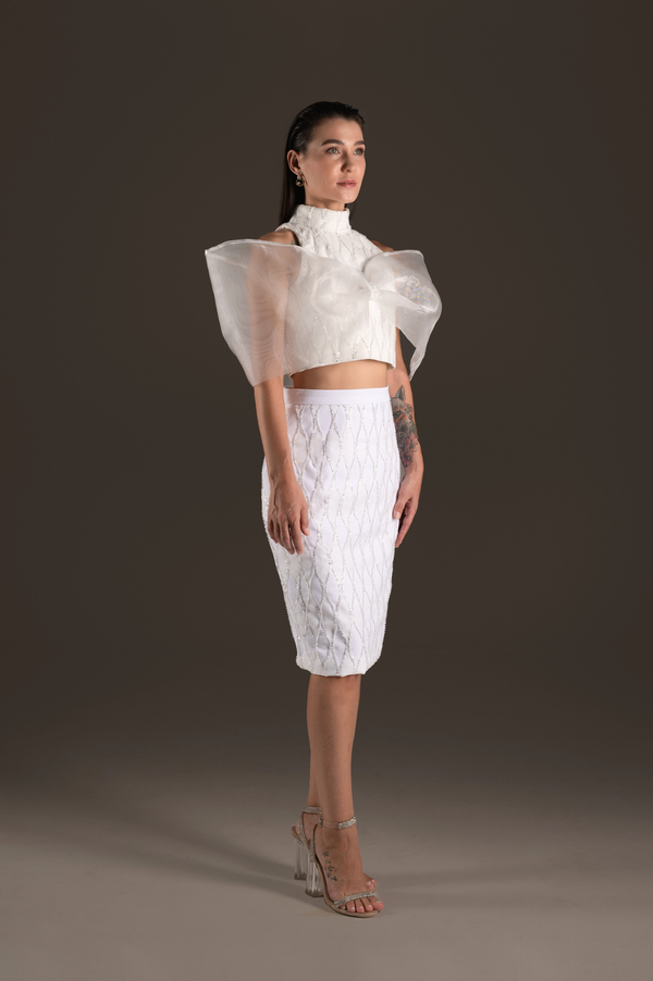 Ivory Tulle Bow Sleeve Two-Piece Pencil Dress