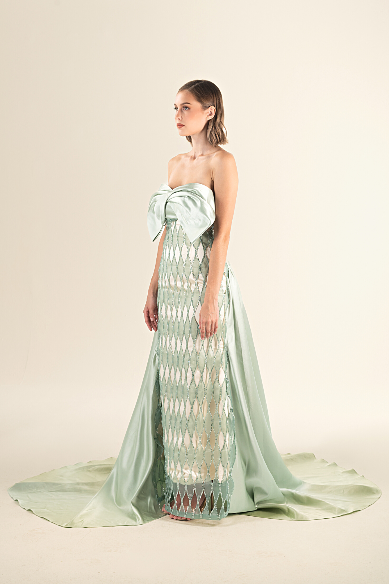 Mint Elegance Embellished Gown