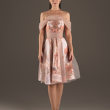 Blush Parisian Dreamscape Tulle Dress