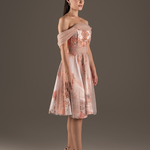 Blush Parisian Dreamscape Tulle Dress