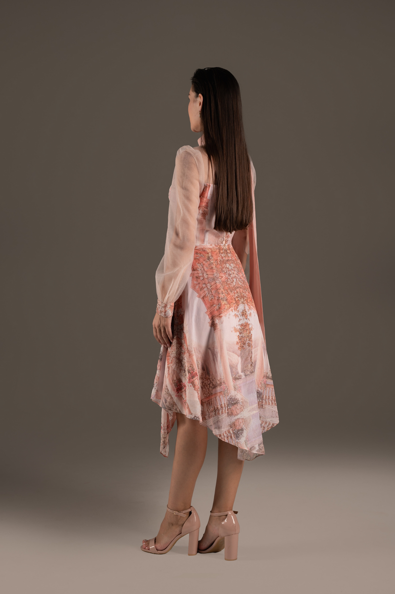 Blush Tulle Overlay Dress
