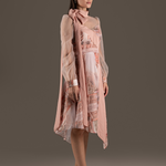 Blush Tulle Overlay Dress