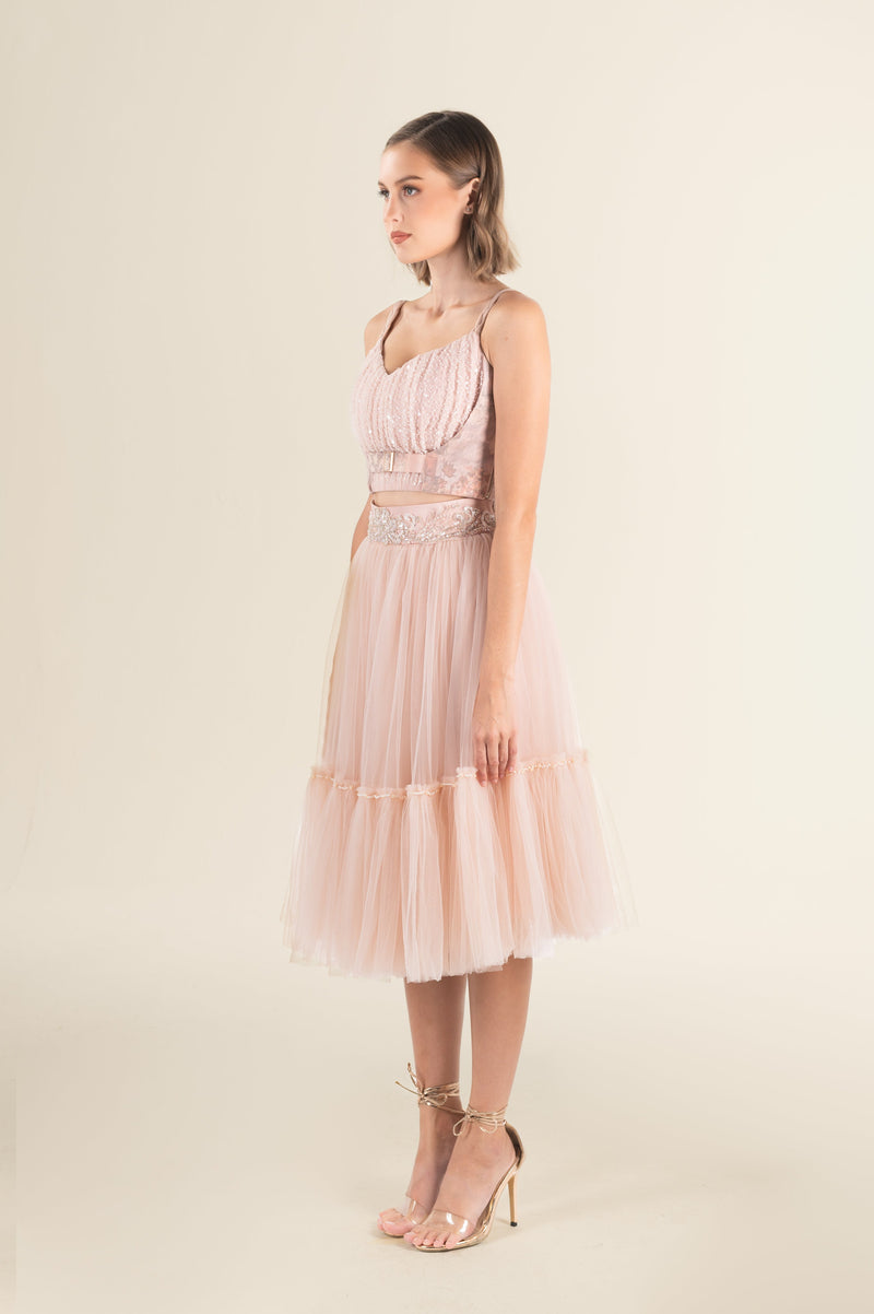 Blush Tulle Embellished Belted Midi Dress